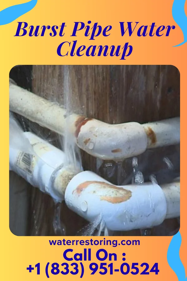 Burst Pipe Water Cleanup in Churchville, NY