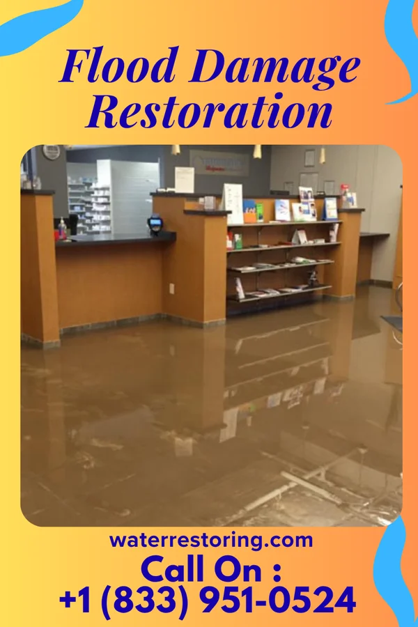 Flood Damage Restoration in Churchville, NY