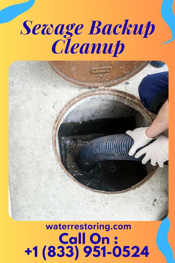 Sewage Backup Cleanup in Churchville, NY