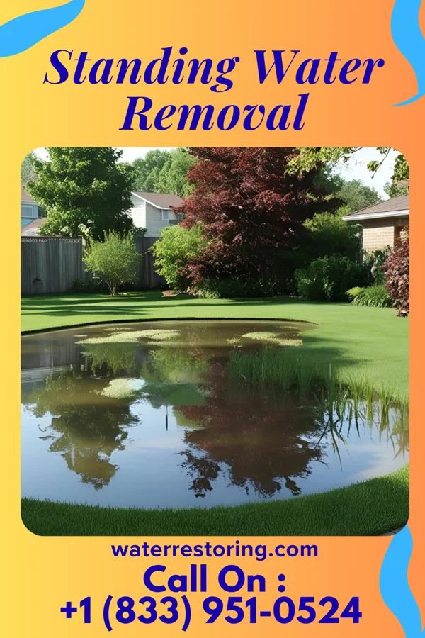 Standing Water Removal in Churchville, NY